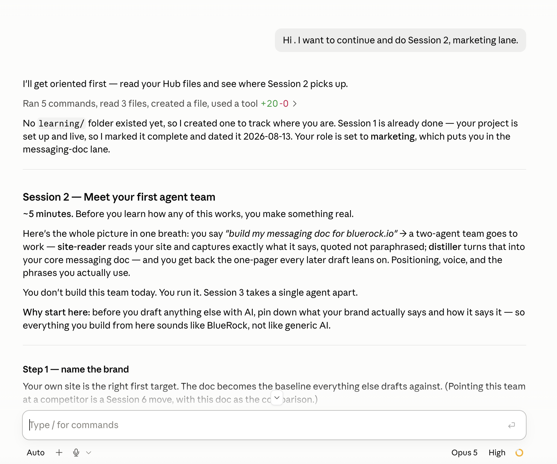 The hand-off: the session reads your project, works out where you are, and asks for your target before anything runs.
